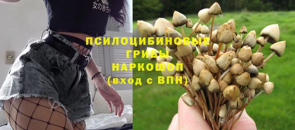 jwh Алзамай
