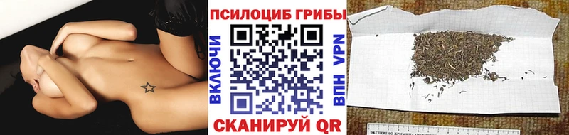 Псилоцибиновые грибы мухоморы  blacksprut ссылки  Североуральск  продажа наркотиков 